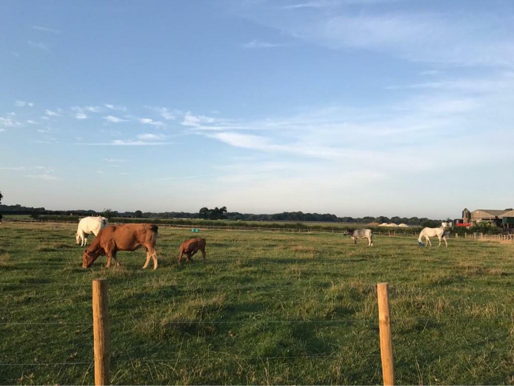 ホテル Shepherdshuts-Southeast アシュフォード エクステリア 写真