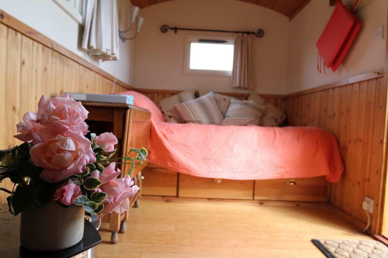 ホテル Shepherdshuts-Southeast アシュフォード エクステリア 写真